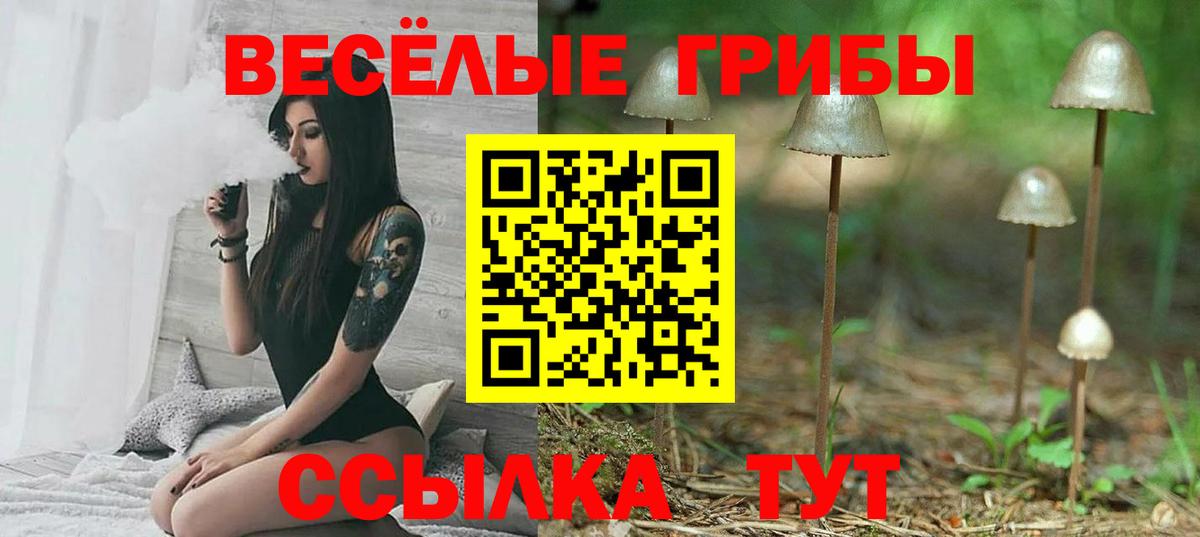 Псилоцибиновые грибы мухоморы  Вход с VPN  Ульяновск 